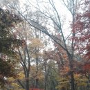 노아어린이집 이미지