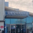 [강릉/울릉도 여행] 2편. 울릉도 입성/관음도/천부해중전망대/다애식당/해돋이식당/마루통닭/모캄보