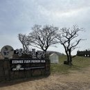 옥토끼목장 이미지