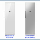 국제P.R | DF90H24R4D / DF90H24R4P 삼성 에어드레서 대용량 신제품 리뷰