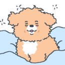 허즈와이띵즈