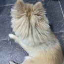 엘커브 이미지