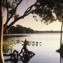 진고개로 이미지