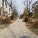 봉선초등학교 이미지
