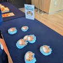 정일당강씨묘 | 2026 궁디팡팡 캣페스타 대전 DCC컨벤션 펫박람회 후기