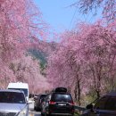 서출동류 물길 트레킹 길 이미지