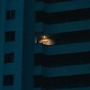 도유 이미지