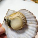 찐통영회초장