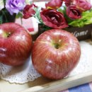 장한농장 이미지