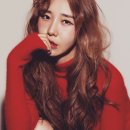 제이지 이미지