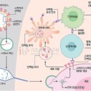 신소재경제신문