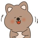 대성수산14호 이미지
