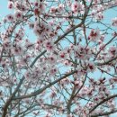 맑은내과의원 이미지