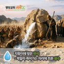 생수의강 | 지팡이에 맞은 반석 – 목말라 죽어가는 자리에 흐른 생수
