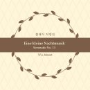 모차르트의 마법 바이올린 | [RX. 032] 홈파티 클래식 추천: 분위기를 살리는 유쾌한 선율, 모차르트의 마법 (모임 음악)