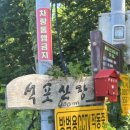 산장펜션 | 울릉도펜션 “석포산장” 후기