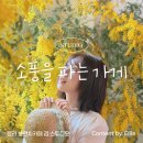 국제PC | [인천 카페] 청라 스튜디오형 카페, 셀프스튜디오 미모사 포토존 '소풍을파는가게'