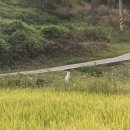 휴파크(국민여가캠핑장) 이미지