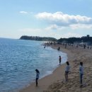 영덕쪽으로 텐트&amp;민박 휴가가시는분들 보세요 이미지