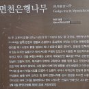 성상2리 마을회관 | 당진 아미산 다불산 몽산