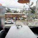 세븐일레븐 대구동성로본점 네이버블로그
