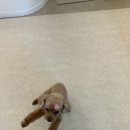 멍무이 쌀롱 이미지