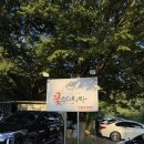 꽃잔디식당 | 대구 꽃잔디식당 웨이팅 꿀팁 다사 아구찜 맛집 내돈내산 후기