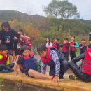 정도태권스쿨 이미지