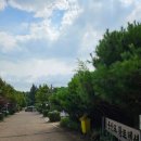 몽산포황토 이미지