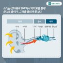 시그니아독일보청기 수영센터 이미지