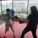 빡 복싱클럽 이미지