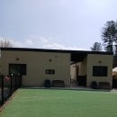 펫 유토피아 | 유독피아 강원도애견펜션 3 ROM에서 댕댕이랑 힐링 제대로 하고 왔습니다