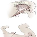 탑스동물병원 이미지