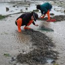 죽림어촌체험마을 이미지