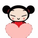 콩콩이