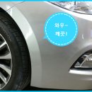 제타덴트칼라 이미지