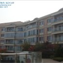 분당-118 이미지