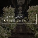 파스쿠찌양산 | 양산 m컨벤션 웨딩홀 투어 홀패키지 식대 가격 26년 견적 공유