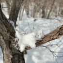 GR(울산광역시 울주군)-[석남로]-하-5 | 2박3일 우당탕탕 ! <영남알프스 7봉 + 재약산까지 8봉> 완주 기록 🏔️ - 영남알프스 트랭글 / 코스 / 루트...