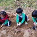 다우리어린이집 이미지