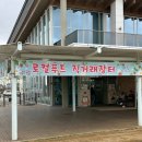 평택시 농업생태원2 | 꺄아! 평택 튤립밭에서 인생샷 백장! 🌷 평택시농업생태원 봄나들이 포토존 찐 솔직 후기 4월 축제 주말...