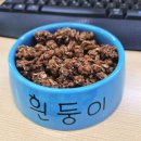 수석카인테리어 | [내돈내산] 사회초년생 첫차 선물로 딱! 짱구는 못말려 흰둥이 빅페이스 차량용 방향제