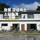 소담화개