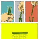 광수생각 이미지