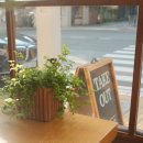 본 (BORN)95 이미지