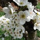 청하 농장 이미지