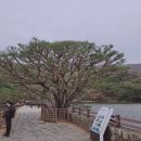 증산셀프세차장 이미지