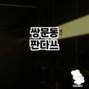 쌍문동판다쓰, 중식이자카야의 매력