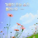 처서 이미지