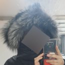노비스신세계